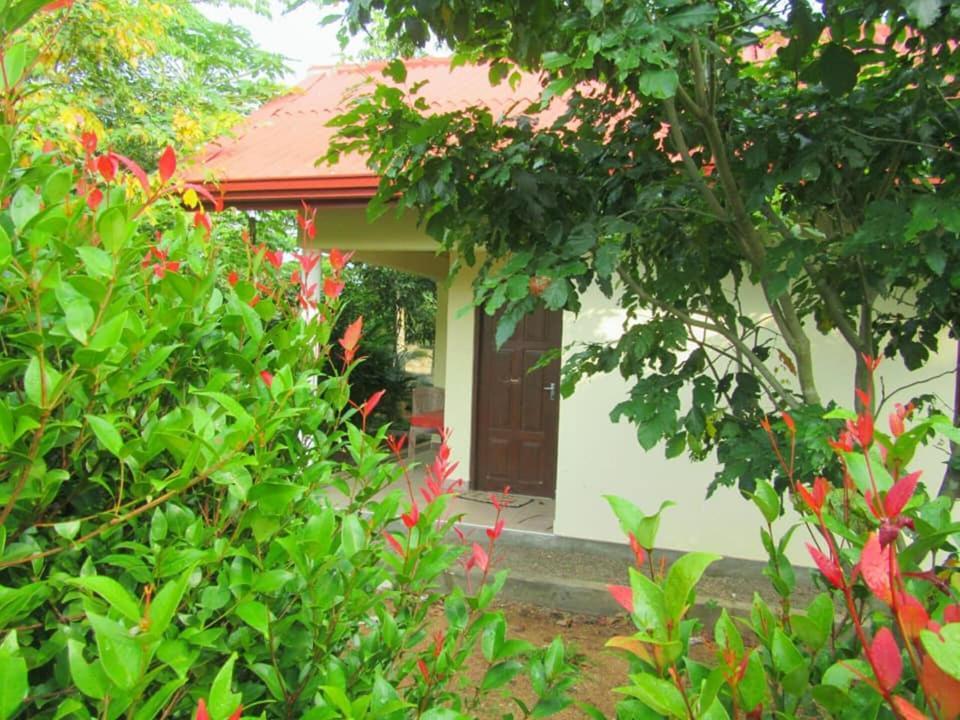 Hotel Tree Garden Wilpaththu Nochchiyagma Anuradhapura Nochchiyagama Exterior photo