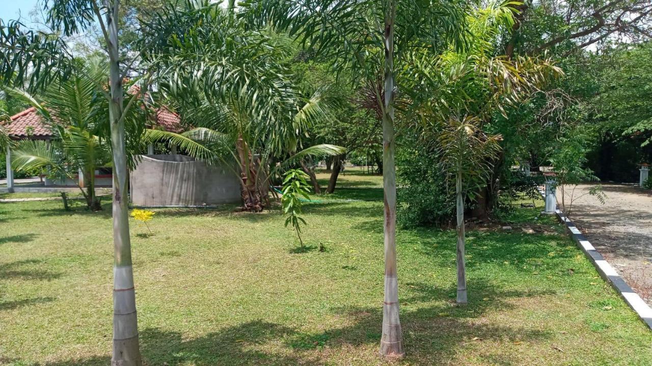 Hotel Tree Garden Wilpaththu Nochchiyagma Anuradhapura Nochchiyagama Exterior photo