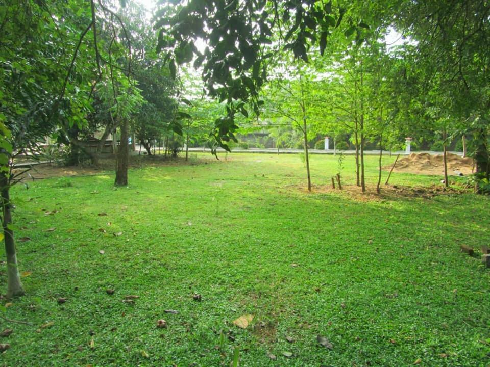 Hotel Tree Garden Wilpaththu Nochchiyagma Anuradhapura Nochchiyagama Exterior photo