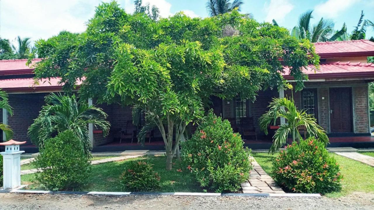 Hotel Tree Garden Wilpaththu Nochchiyagma Anuradhapura Nochchiyagama Exterior photo