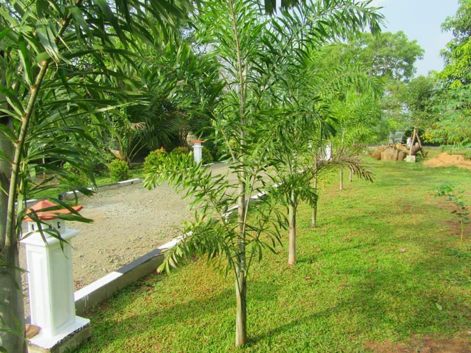 Hotel Tree Garden Wilpaththu Nochchiyagma Anuradhapura Nochchiyagama Exterior photo