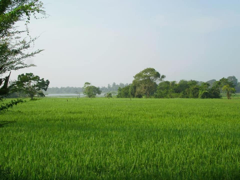 Hotel Tree Garden Wilpaththu Nochchiyagma Anuradhapura Nochchiyagama Exterior photo