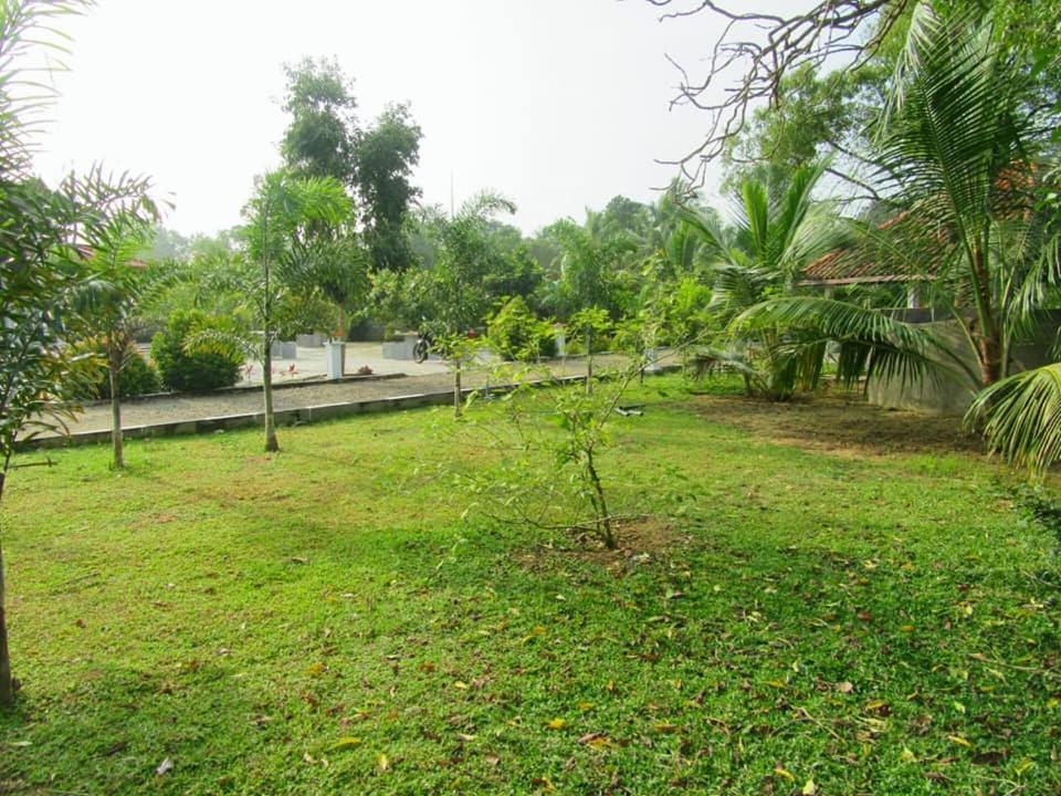 Hotel Tree Garden Wilpaththu Nochchiyagma Anuradhapura Nochchiyagama Exterior photo