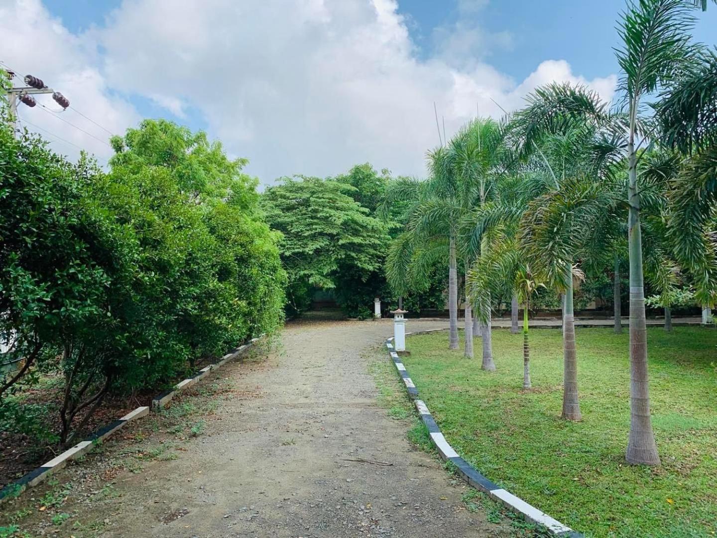 Hotel Tree Garden Wilpaththu Nochchiyagma Anuradhapura Nochchiyagama Exterior photo