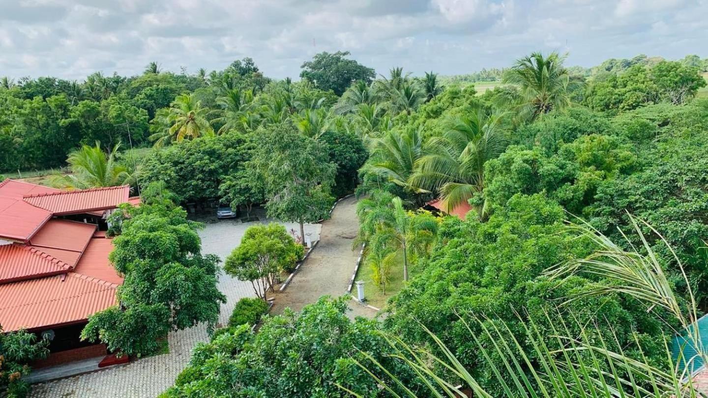 Hotel Tree Garden Wilpaththu Nochchiyagma Anuradhapura Nochchiyagama Exterior photo