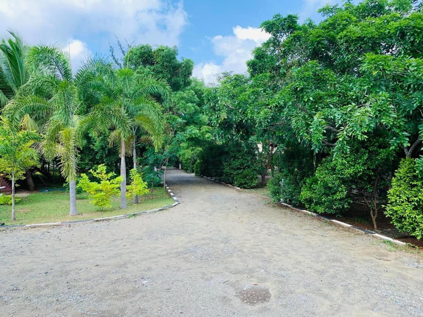 Hotel Tree Garden Wilpaththu Nochchiyagma Anuradhapura Nochchiyagama Exterior photo