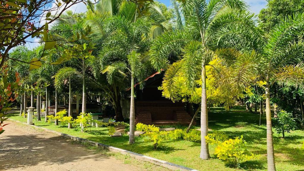 Hotel Tree Garden Wilpaththu Nochchiyagma Anuradhapura Nochchiyagama Exterior photo