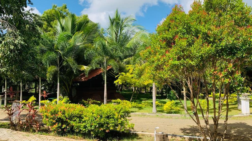 Hotel Tree Garden Wilpaththu Nochchiyagma Anuradhapura Nochchiyagama Exterior photo